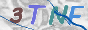 Kontrolní text