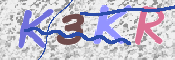 Kontrolní text