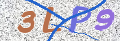 Kontrolní text