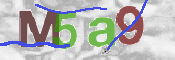 Kontrolní text