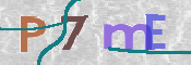 Kontrolní text