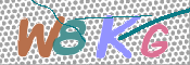 Kontrolní text