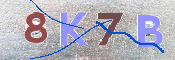 Kontrolní text