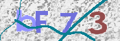 Kontrolní text