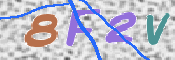 Kontrolní text