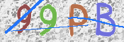 Kontrolní text