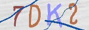 Kontrolní text