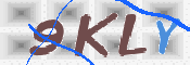 Kontrolní text
