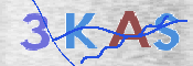 Kontrolní text