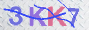 Kontrolní text