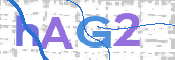 Kontrolní text