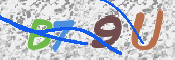 Kontrolní text