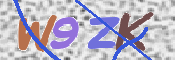 Kontrolní text