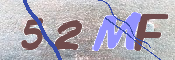 Kontrolní text