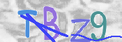 Kontrolní text