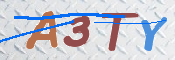 Kontrolní text