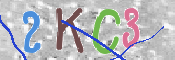 Kontrolní text
