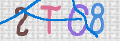 Kontrolní text
