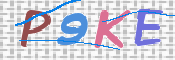 Kontrolní text