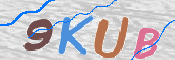 Kontrolní text