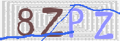 Kontrolní text