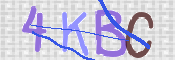 Kontrolní text