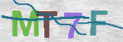Kontrolní text