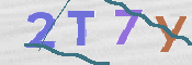Kontrolní text