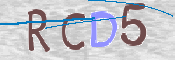 Kontrolní text