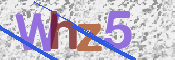 Kontrolní text