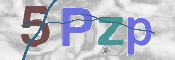 Kontrolní text