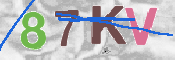 Kontrolní text
