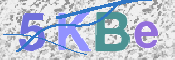 Kontrolní text