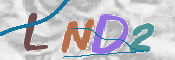 Kontrolní text