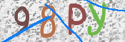 Kontrolní text