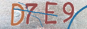 Kontrolní text