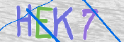 Kontrolní text