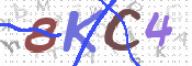 Kontrolní text