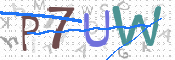 Kontrolní text