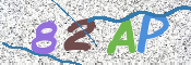 Kontrolní text